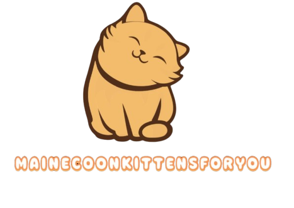 mainecoonkittensforyou.com